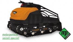 Tinger-Dog Arancione5